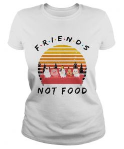 Ladies Tee Friends not food vintage sunset shirt