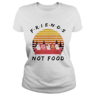 Ladies Tee Friends not food vintage sunset shirt