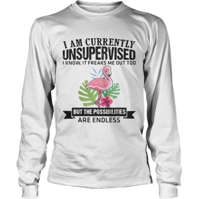 Longsleeve Tee Flamingo I am currently unsupervised I know It freaks me out too but the possibilities are endless