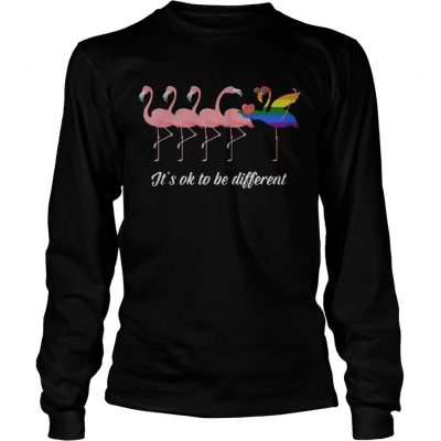 Longsleeve Tee Flamingo LGBT Its ok to be different shirt