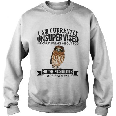 Sweatshirt Burrowing Owl I am currently Unsupervised I know it freaks me out too but the possibilities are end