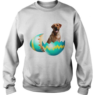 Sweatshirt Dog Easter Cute Labrador Egg Gift Shirt