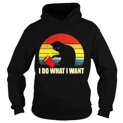 The cat spilled over the cup I do what I want retro hoodie