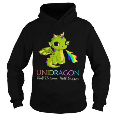 Unidragon half unicorn half unicorn LGBT hoodie