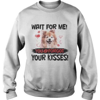 Cute Pomeranian Wait For Me You Forgot Your Kisses Sweatshirt