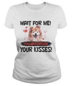 Cute Pomeranian Wait For Me You Forgot Your Kisses ladies tee