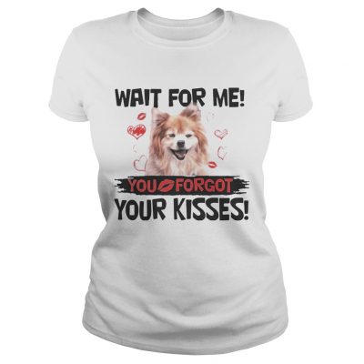 Cute Pomeranian Wait For Me You Forgot Your Kisses ladies tee