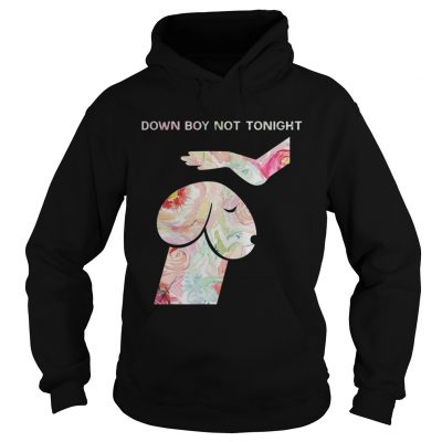 Down Boy Not Tonight Flower Dickhead Dog Noma Bar hoodie