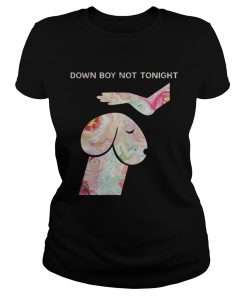 Down Boy Not Tonight Flower Dickhead Dog Noma Bar ladies tee