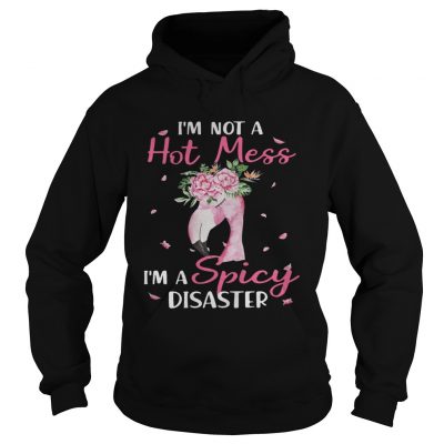 Flamingo Im not a hot mess Im a spicy disaster hoodie