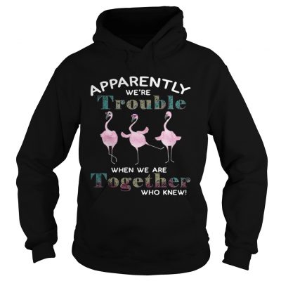 Flamingos apparently were trouble when we are together who knew hoodie