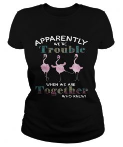 Flamingos apparently were trouble when we are together who knew ladies tee