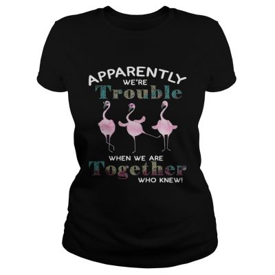 Flamingos apparently were trouble when we are together who knew ladies tee