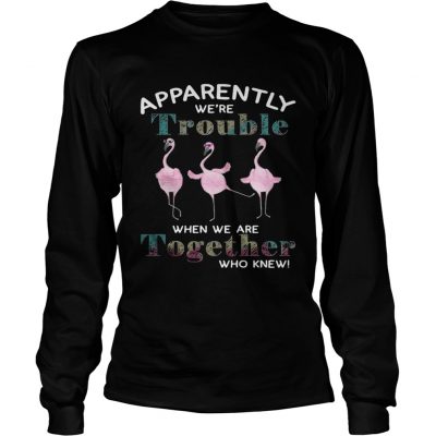 Flamingos apparently were trouble when we are together who knew longsleeve tee