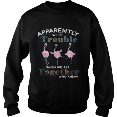 Flamingos apparently were trouble when we are together who knew sweatshirt