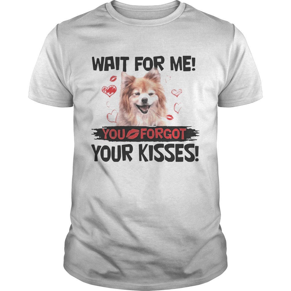 Cute Pomeranian Wait For Me You Forgot Your Kisses Shirt