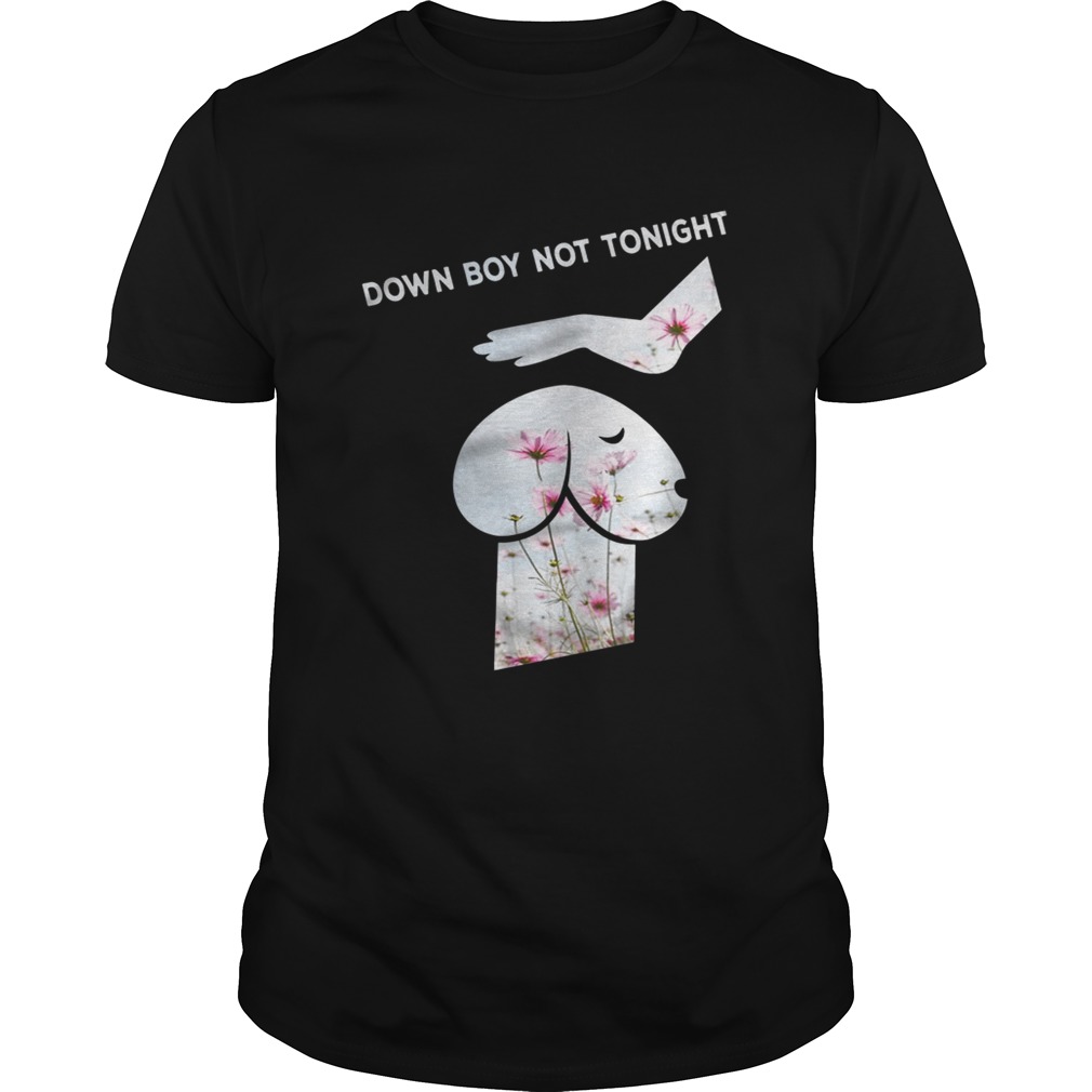 Down Boy Not Tonight Flower Dickhead Dog Noma Bar youth shirt