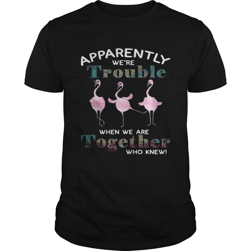 Flamingos apparently were trouble when we are together who knew tshirt