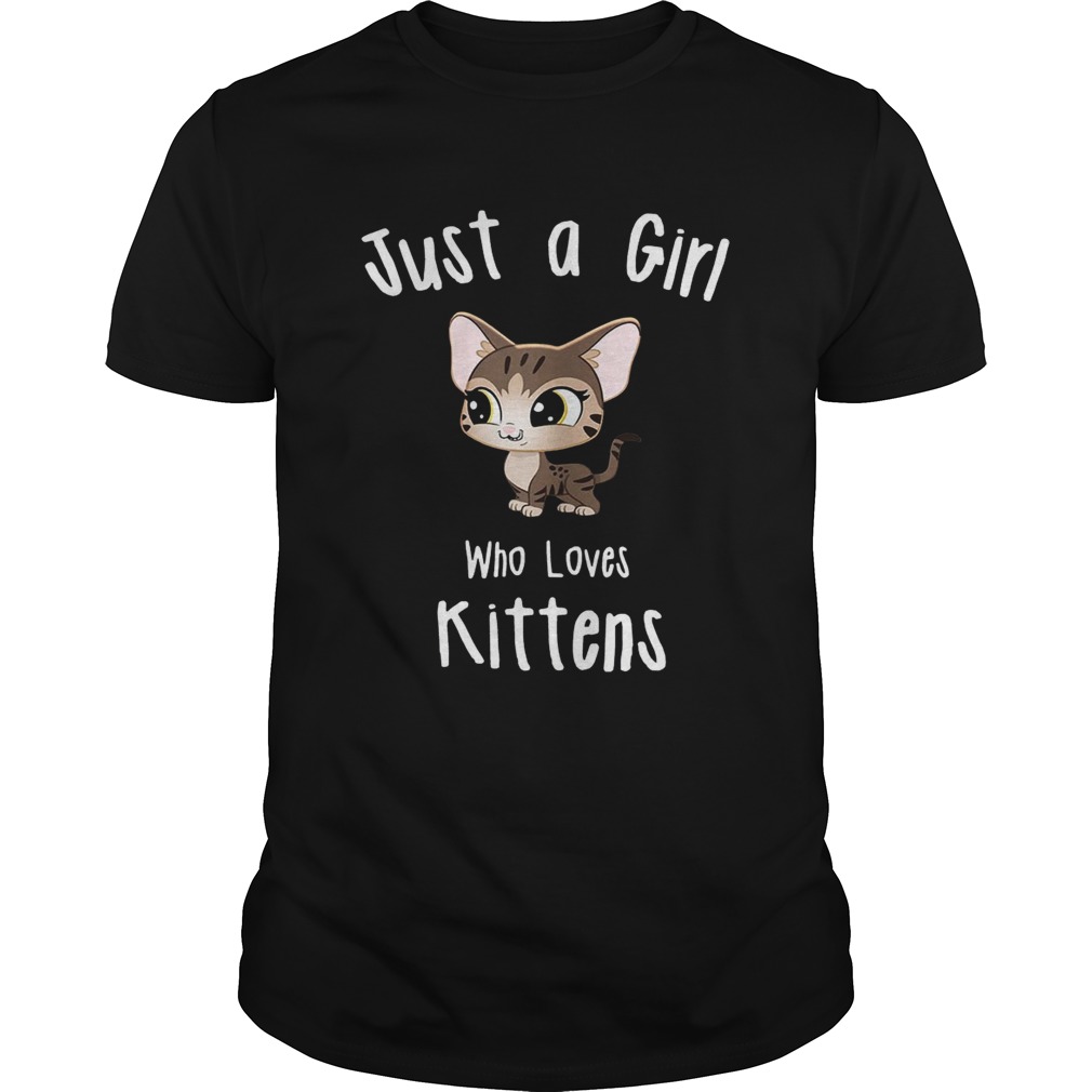 Just A Girl Who Loves Kittens shirt