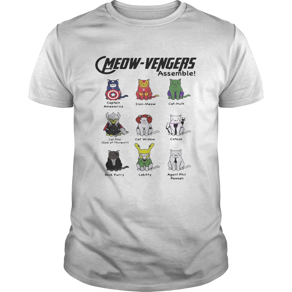 Marvel Cats Meow-avengers assemble tshirts