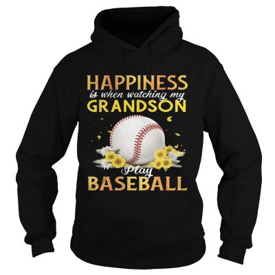 Happiness I When Watching My Grandson Play Baseball hoodie