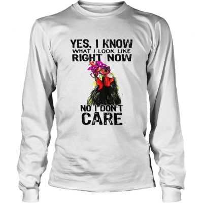 Hen yes I know what I look like right now no I dont care longsleeve tee