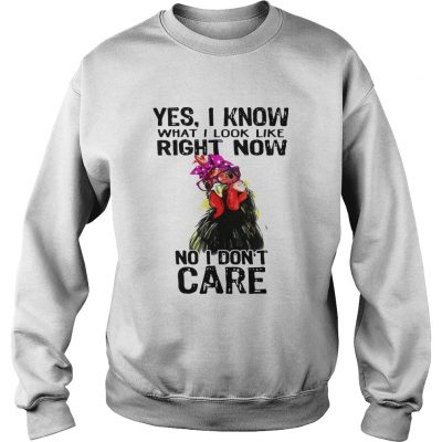 Hen yes I know what I look like right now no I dont care sweatshirt