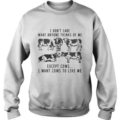 I Dont Care What Anyone Thinks Of Me Funny Gift Sweatshirt