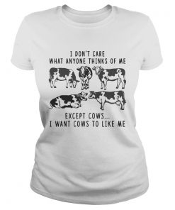 I Dont Care What Anyone Thinks Of Me Funny Gift ladies tee