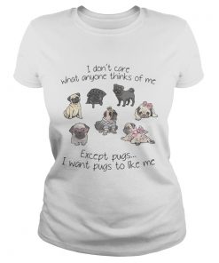 I dont care what anyone thinks of me excepts pugs I want pugs to like me ladies tee