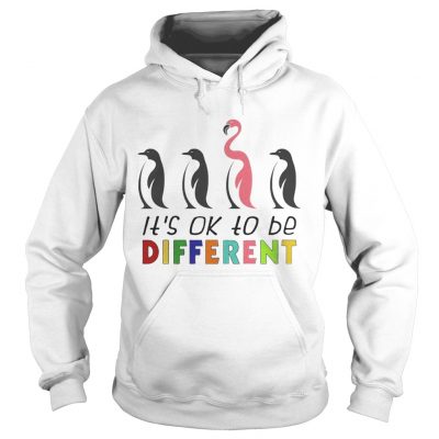 Its Ok To Be Different Autism Awareness Penguin Flamingo hoodie