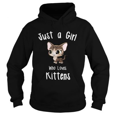 Just A Girl Who Loves Kittens hoodie