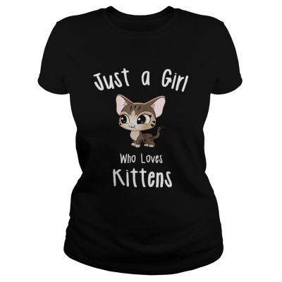 Just A Girl Who Loves Kittens ladies tee