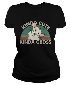 Kinda cute Kinda gross vintage sunset ladies tee