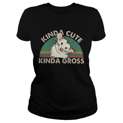 Kinda cute Kinda gross vintage sunset ladies tee