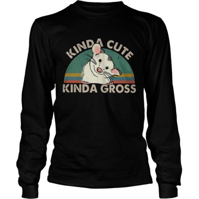 Kinda cute Kinda gross vintage sunset longsleeve tee