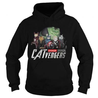 Marvel Catvengers avengers end game Hoodie