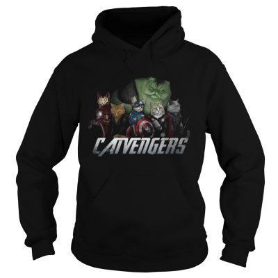 Marvel Catvengers avengers hoodie