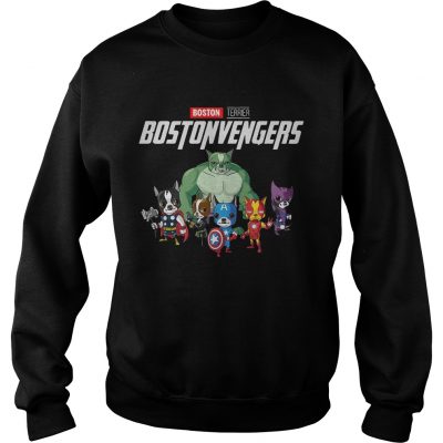 Marvel Endgame Terrier Terriervengerss Sweater