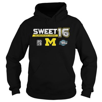 Michigan Wolverines 2019 March Madness Sweet 16 hoodie