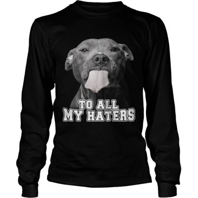 Pitbull to all my haters longsleeve tee