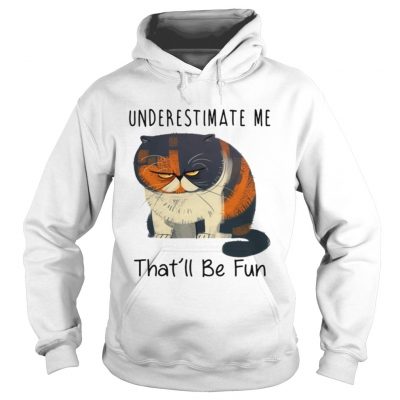 Pudge the Cat underestimate me thatll be fun hoodie