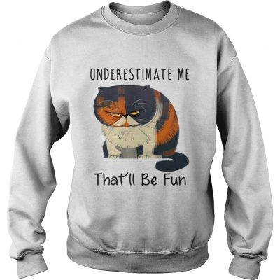 Pudge the Cat underestimate me thatll be fun sweatshirt