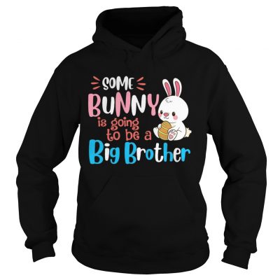 Some Bunny Is Going To Be A Big Brother Easter hoodie