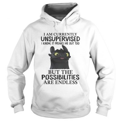 Toothless I am currently unsupervised I know It freaks me out too hoodie