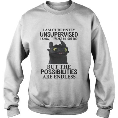 Toothless I am currently unsupervised I know It freaks me out too sweatshirt