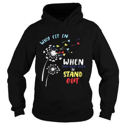 Why fit in when you were born to stand out hoodie