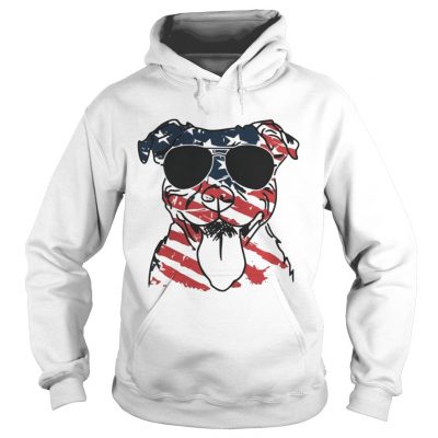 4th Of July Pitbull American Flag hoodie