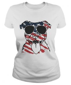 4th Of July Pitbull American Flag ladies tee