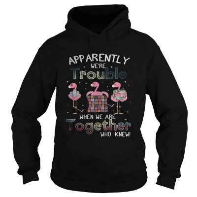 Apparently were trouble when we are together flamingo quilting hoodie